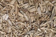 biomass boilers Hartwood
